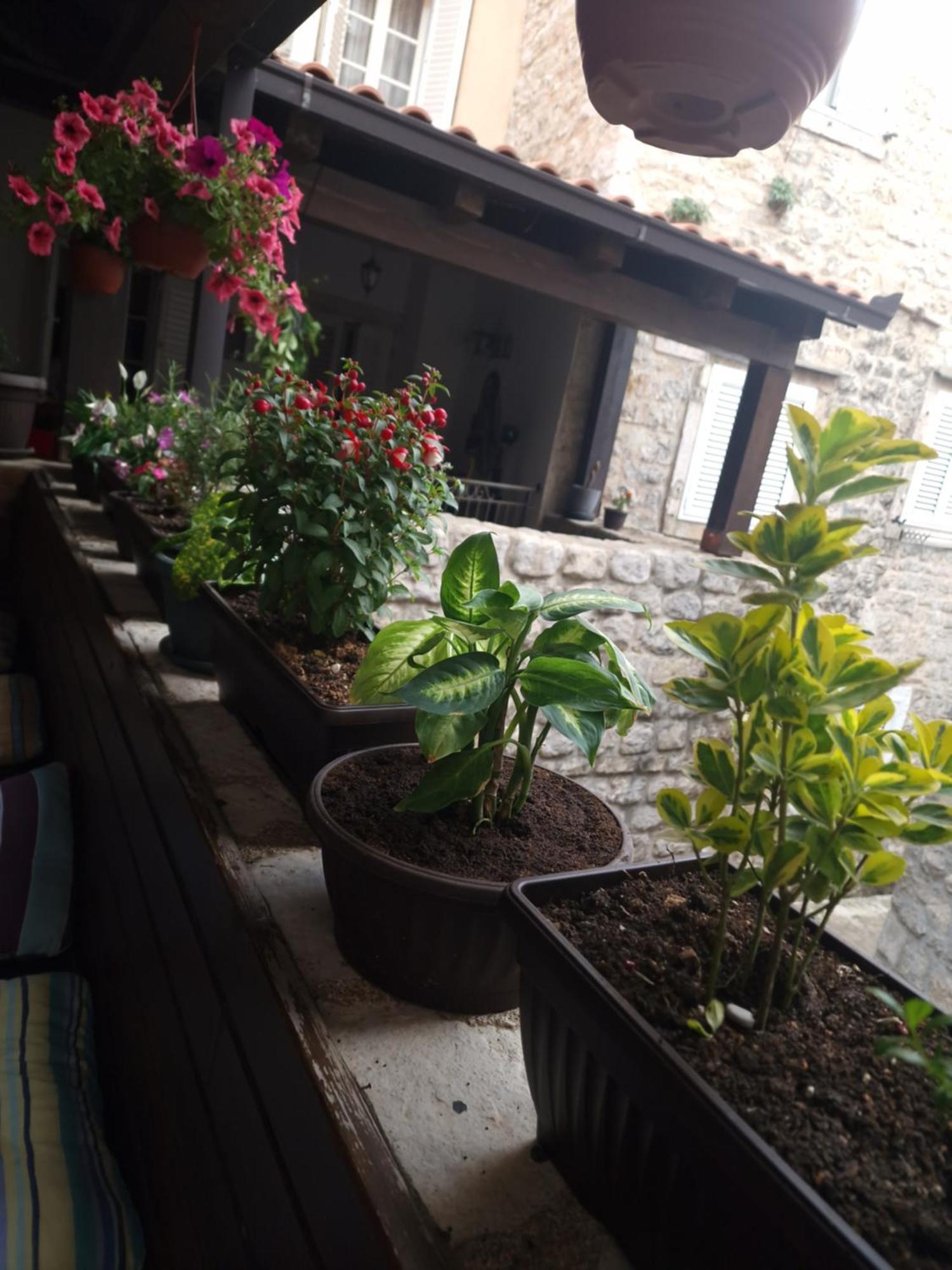 Rooms Dana Old Town Budva Exterior foto